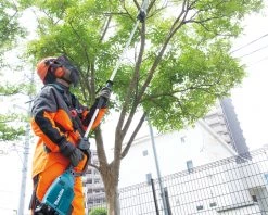 Makita Tronçonneuse Sans Fil DUA301PT2 Tronçonneuse à Bâton Télescopique 30 Cm 2 X 18V 5.0Ah Li-Ion