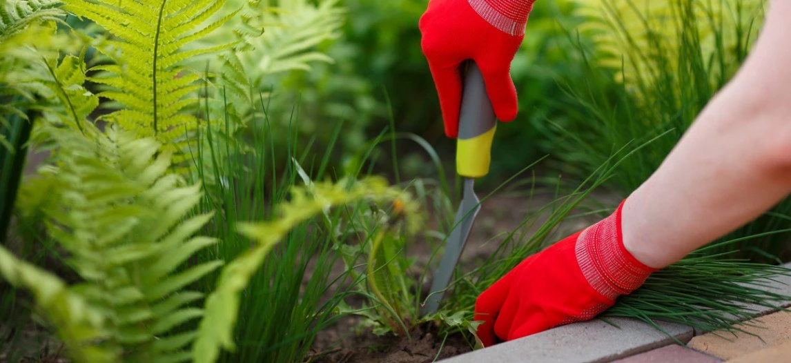 Outils à main Soldes -Outils à main Soldes 4